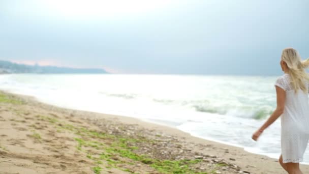 Vista trasera feliz pareja cogida de la mano y corriendo a lo largo del mar cámara lenta — Vídeos de Stock