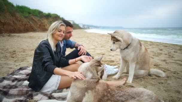 Joven pareja pasando tiempo con sus perros en la playa cámara lenta — Vídeos de Stock