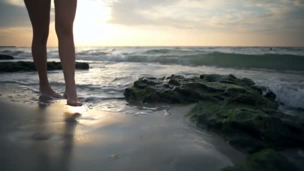 Fechar em linha reta pernas femininas andar ao longo da borda do mar câmera lenta — Vídeo de Stock