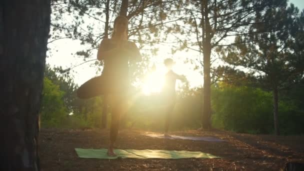 Pratik yoga gün batımında Vrikshasana ağır çekim ormanda kızlar — Stok video