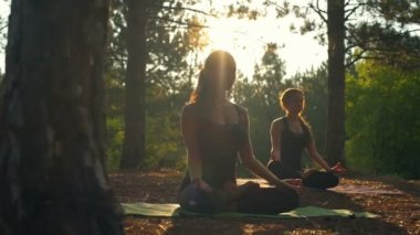 Gün batımında orman Padmasana ağır çekim pratik yoga meditasyon kızlar