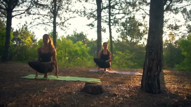 Filles pratiquant le yoga au coucher du soleil dans la forêt Padangustasana Slow motion — Video