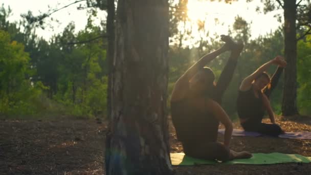 Chicas practicando yoga estirándose al atardecer en el bosque — Vídeo de stock