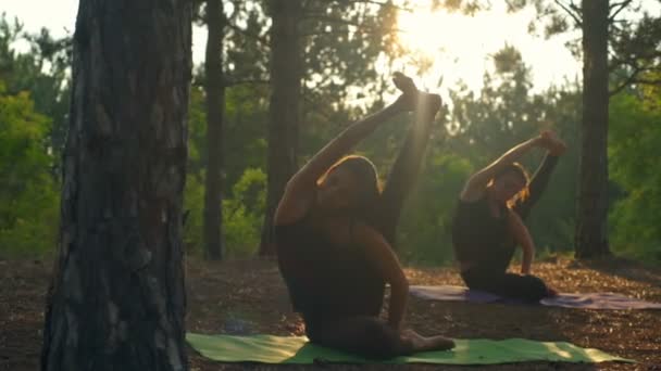 Chicas practicando yoga estirándose al atardecer en el bosque — Vídeos de Stock