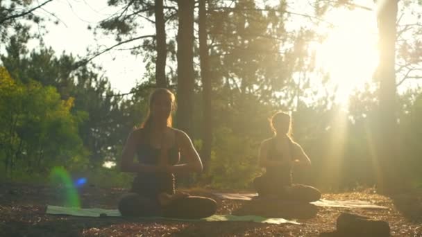 Κορίτσια διαλογισμό πρακτική της yoga το ηλιοβασίλεμα στο δάσος Padmasana αργή κίνηση — Αρχείο Βίντεο