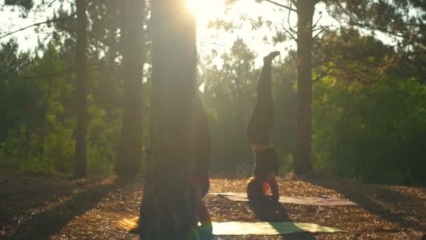 在日落时分在森林 Sirshasana 慢动作练瑜伽的女孩 — 图库视频影像