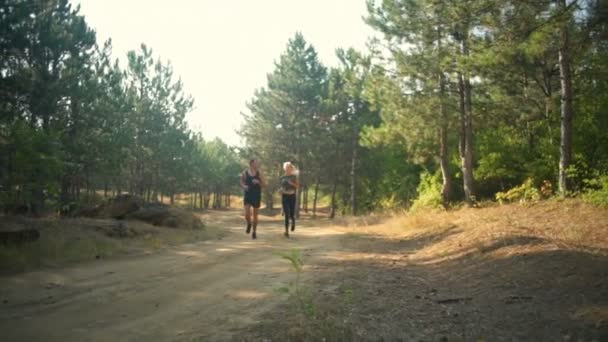 Pareja deportiva en ropa deportiva sonriendo trotando a lo largo del camino en el bosque — Vídeos de Stock