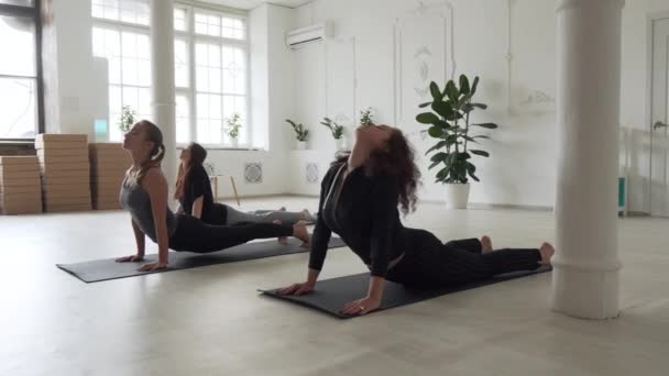 Група молодих привабливих жінок роблять йогу асанську собачу позу у великому класі — стокове відео