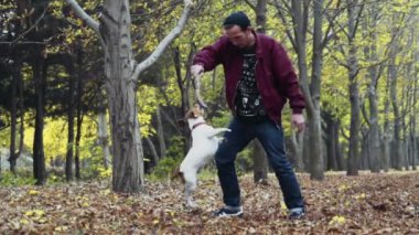 genç adam sonbahar Park iki köpek ile oynarken