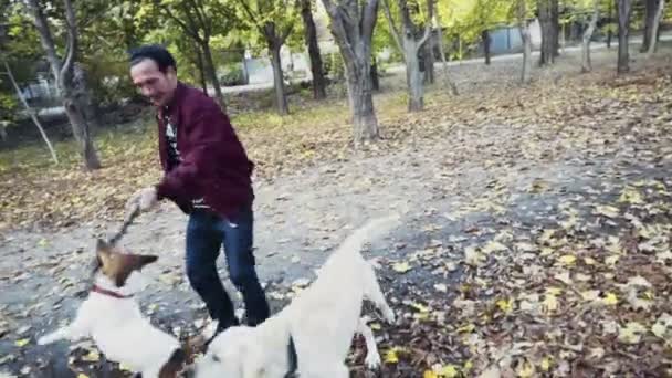 Молодой человек играл с двумя собаками в осеннем парке — стоковое видео