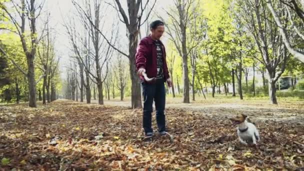 年轻人和两只狗在秋天公园玩 — 图库视频影像