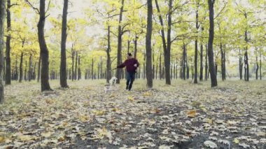 genç adam sonbahar Park iki köpek ile oynarken