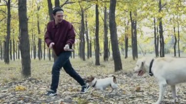 genç adam sonbahar Park iki köpek ile oynarken