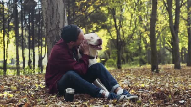 Man and the dog sitting near the tree in autumn park drinking coffee — Stock Video