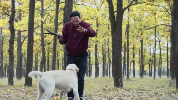 Junger Mann spielt mit zwei Hunden im Herbstpark — Stockvideo