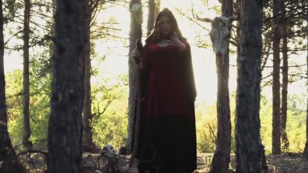 jeune femme habillée comme une sorcière debout dans la forêt 