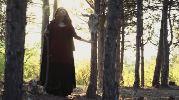 jeune femme habillée comme une sorcière debout dans la forêt 