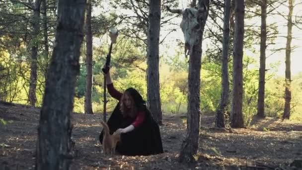Young female dressed as a witch playing with a cat in forest — Stock Video