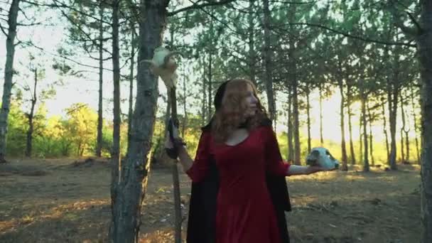 Young female dressed as a witch walking in forest with a cat — Stock Video