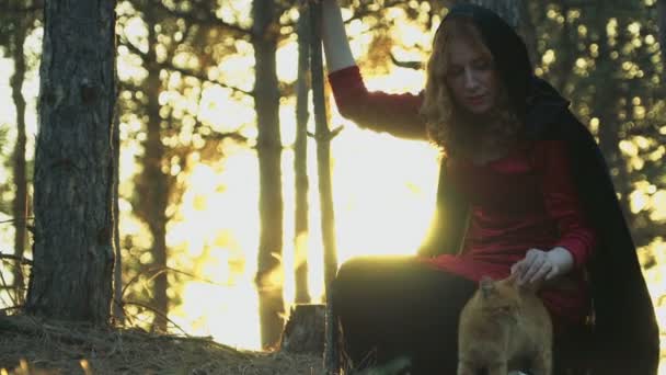 Vörös hajú boszorkány simogatta a gyömbér cat, erdő — Stock videók