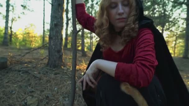 Рыжая ведьма гладит рыжую кошку в лесу — стоковое видео