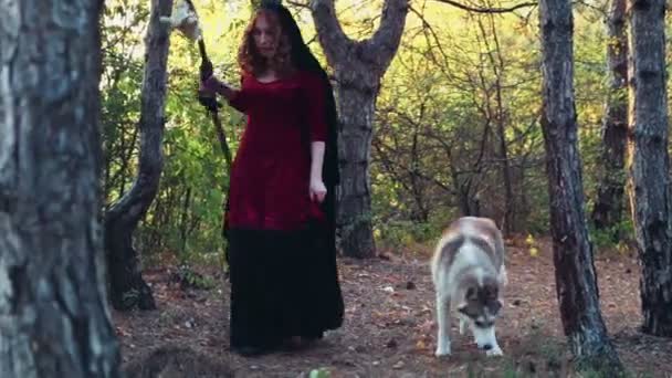 Молодая женщина, одетая как ведьма, гуляющая с хаски-собакой в лесу — стоковое видео