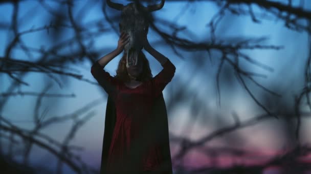 Jovem mulher vestida como uma bruxa segurando um crânio de touro — Vídeo de Stock