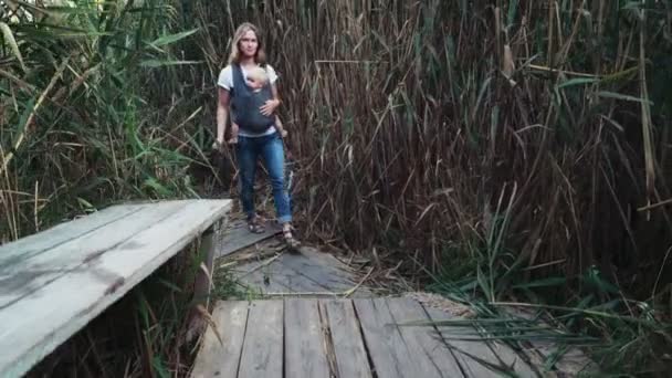 Mère portant un bébé en fronde jouer avec un chien husky — Video