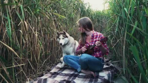 Jovem fêmea jogar no ukulele com um cão husky — Vídeo de Stock