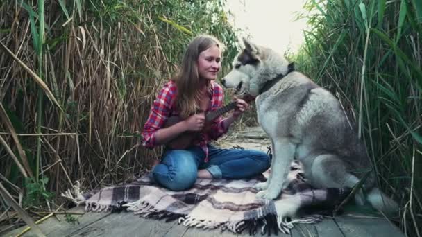 Joven hembra jugando en el ukelele con un perro husky — Vídeo de stock