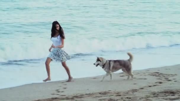 Linda hembra joven jugando con dos perros husky en la playa — Vídeo de stock