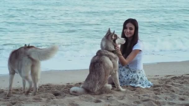 Linda hembra joven jugando con dos perros husky en la playa — Vídeo de stock