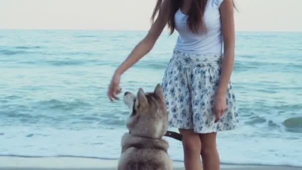 可爱的年轻女性在海滩上和赫斯基狗一起玩 — 图库视频影像