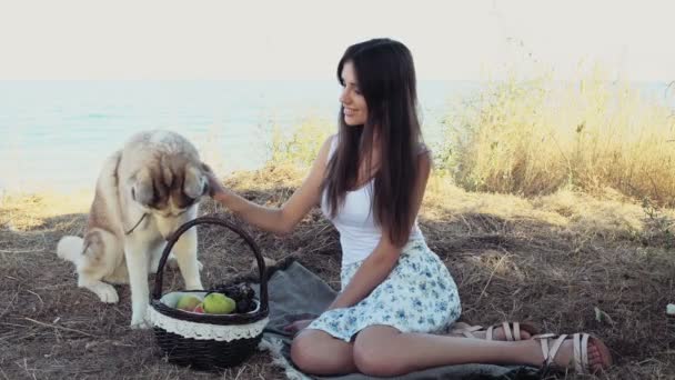 Menina bonito com buquê de frutas e cão husky sentado na grama seca — Vídeo de Stock