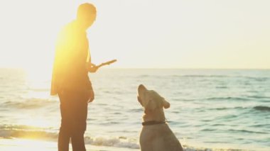 plaj yavaş hareket üzerinde köpeğiyle oynayan genç adam