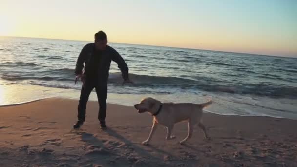Ung man leker med sin hund på stranden slow motion — Stockvideo