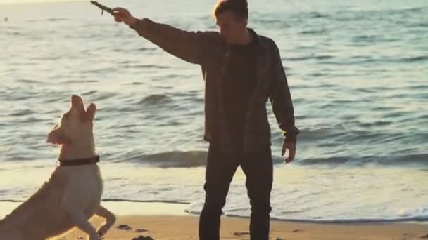 Ung man leker med sin hund på stranden slow motion — Stockvideo