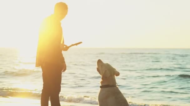 Ung man leker med sin hund på stranden slow motion — Stockvideo