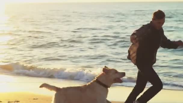 Jonge man spelen met zijn hond op het strand slow motion — Stockvideo