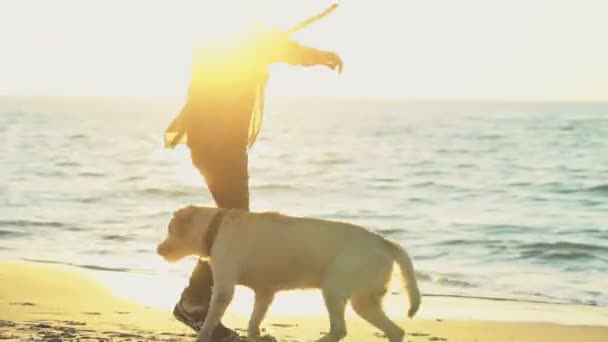 젊은 남자가 해변 슬로우 모션에 그의 강아지와 함께 연주 — 비디오