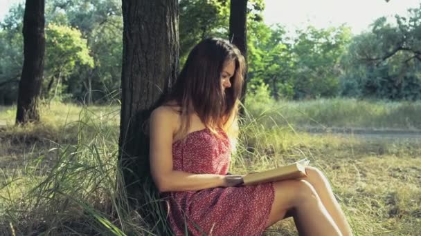 Mujer joven lee un libro en el bosque en un día de verano — Vídeos de Stock