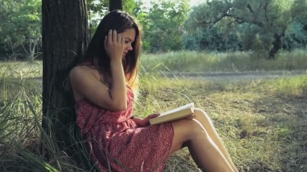 Jonge vrouw leest een boek in het bos op een zomer dag slow motion — Stockvideo