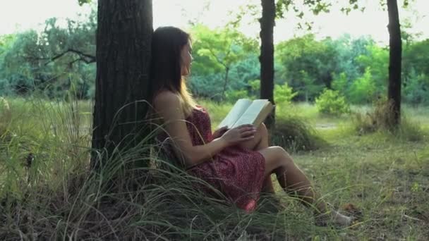 Jonge vrouw leest een boek in het bos op een zomer dag slow motion — Stockvideo