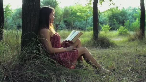 Jovem lê um livro na floresta em um dia de verão câmera lenta — Vídeo de Stock