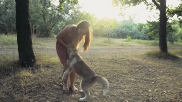 Giovane donna gioca con un cane husky nella foresta e guarda in macchina fotografica rallentatore — Video Stock