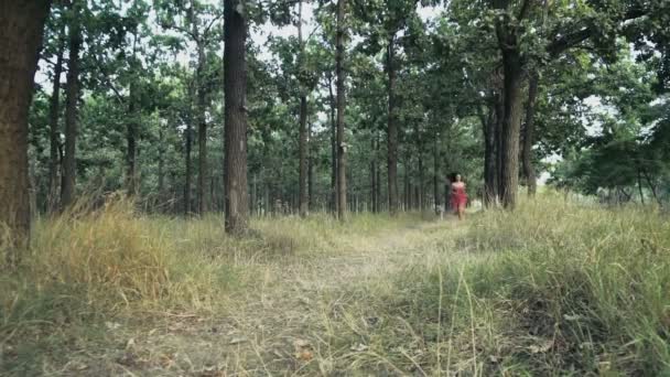 Joven mujer y su perro correr en un bosque camino cámara lenta — Vídeos de Stock