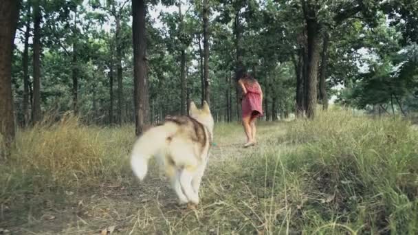 Молодая женщина и ее собака бегут по лесной тропинке замедленной съемки — стоковое видео