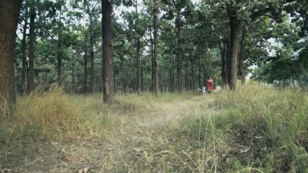 Joven mujer y su perro correr en un bosque camino cámara lenta — Vídeos de Stock