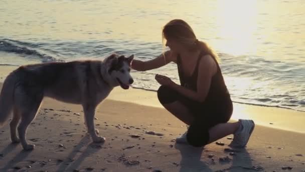 Jeune sportive femelle caresse un chien husky sur la plage au ralenti — Video
