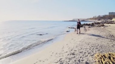 erkek runner ve plaj yavaş Koşu iki husky köpek